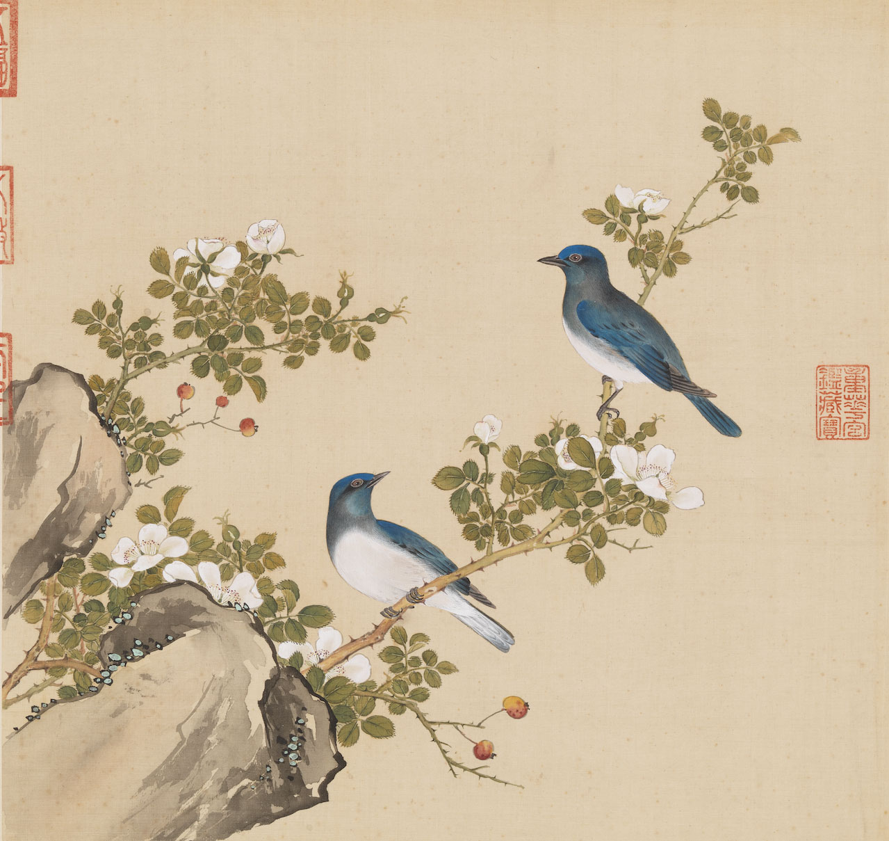boxmoe_header_banner_img