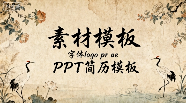 网站_素材模板 字体logo / pr / ae / PPT简历模板…