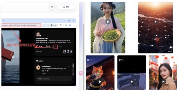 Sora生成配套工具_邀请码/科学上网/去水印